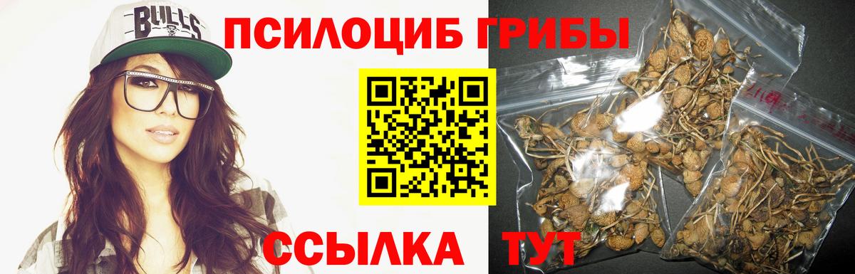 Галлюциногенные грибы Cubensis  наркошоп  Чехов  Вход с VPN  Псилоцибиновые грибы Cubensis 